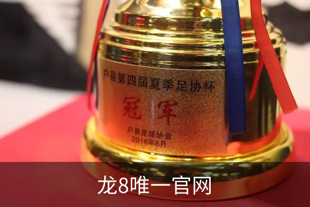 龙8唯一官网平台介绍展示图